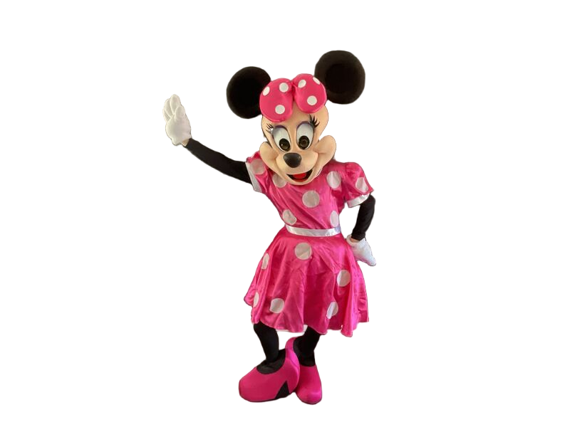 Kids party entertainment Highett Melbourne character hire