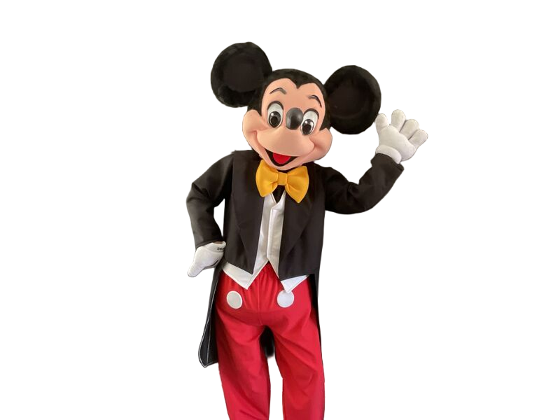 Kids character entertainment Mordialloc party hire Melbourne