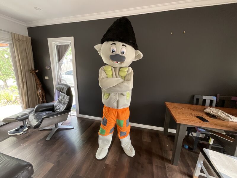 Branch Trolls birthday party entertainment Mentone Melbourne