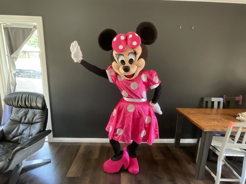 Kids party entertainment Highett Melbourne character hire