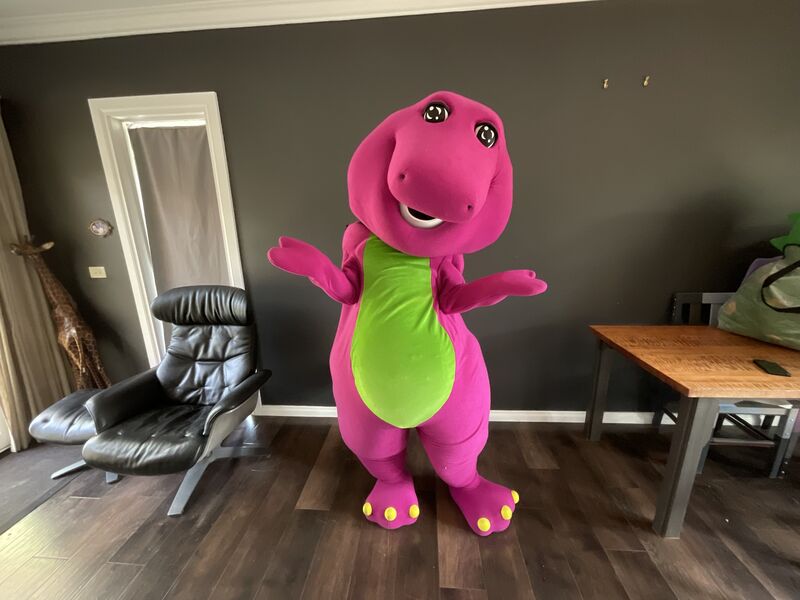 Character mascot party hire Bentleigh Melbourne