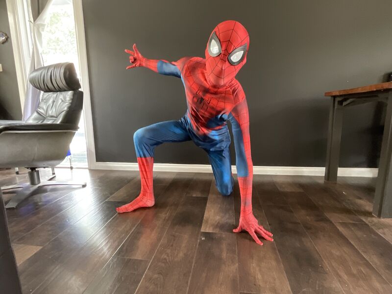 Kids birthday party character hire Hampton Melbourne