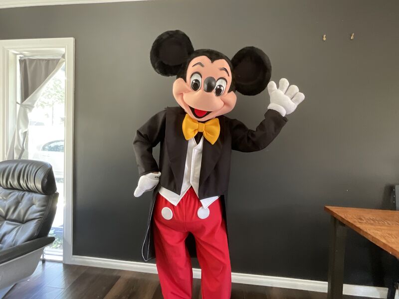 Kids character entertainment Mordialloc party hire Melbourne