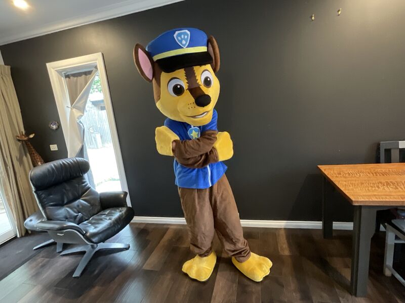 Professional mascot hire Moorabbin Melbourne kids parties